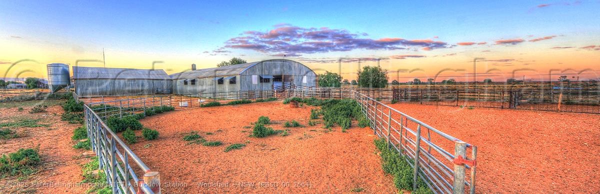 Peter Bellingham Photography Bucklow Station - Woolshed - NSW (PB5D 00 2664)